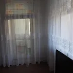 Apartman Santariskes *