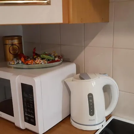דירה Santariskes